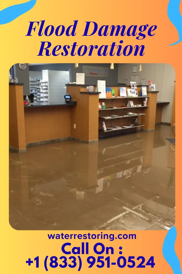 Flood Damage Restoration in Rice Lake, MN