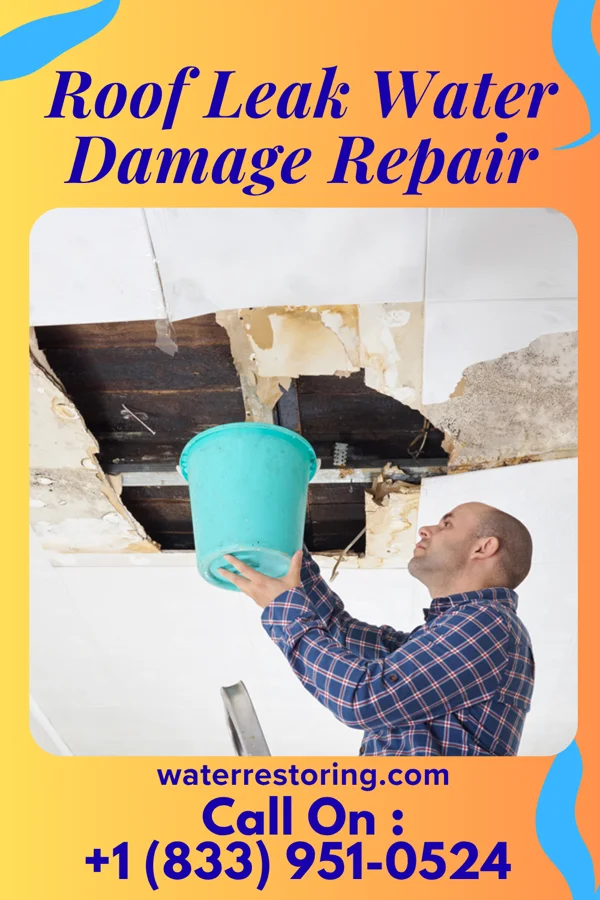 Roof Leak Water Damage Repair in Rice Lake, MN