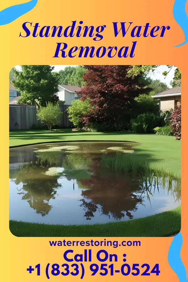 Standing Water Removal in Rice Lake, MN